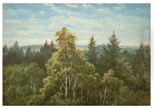 Bewaldeter Abhang Bei Pillnitz Oil Painting by Carl Gustav Carus