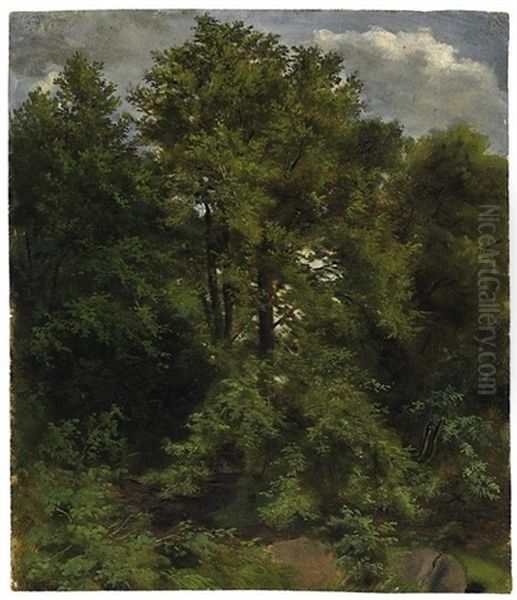 Naturstudie Von Der Pilnitzer Elbinsel Oil Painting by Carl Gustav Carus