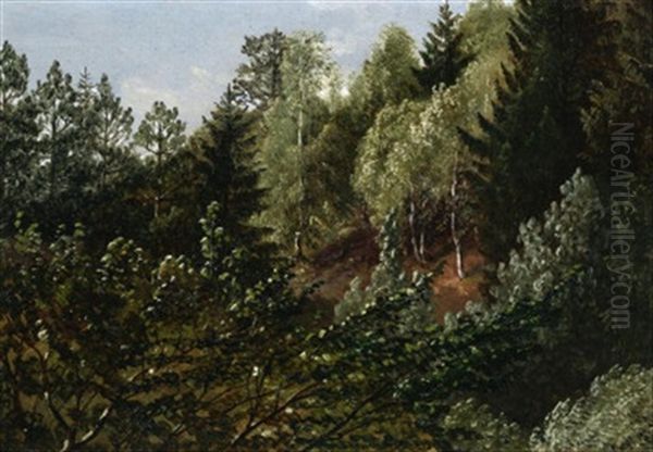 Waldstudie Bei Dresden Oil Painting by Carl Gustav Carus