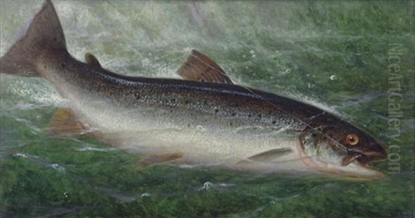 Fish Oil Painting by William de la Montagne Cary