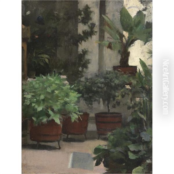 Rincon De Mi Jardin (corner Of My Garden) Oil Painting by Ramon Casas