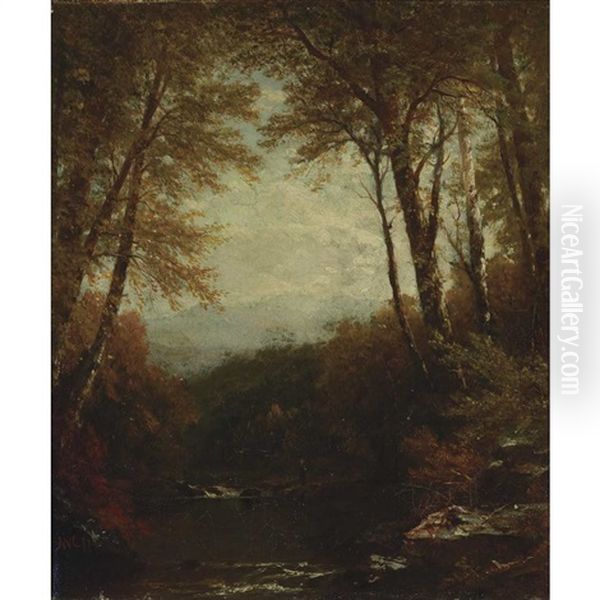 Woodland Scene Oil Painting by John William Casilear