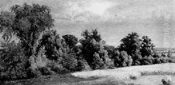 Edge Of The Field Oil Painting by John William Casilear