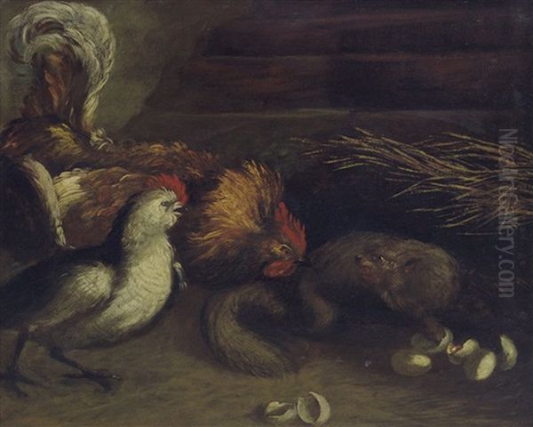 Faina Sorpresa Dal Gallo Oil Painting by Giovanni Agostino (Abate) Cassana