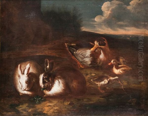 Rabbits And Ducks Oil Painting by Giovanni Agostino (Abate) Cassana