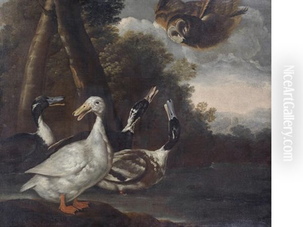 Ducks In A River Landscape With An Owl In Flight Oil Painting by Giovanni Agostino (Abate) Cassana