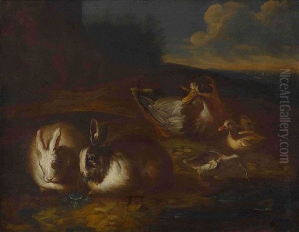 Kaninchen Und Enten Oil Painting by Giovanni Agostino (Abate) Cassana