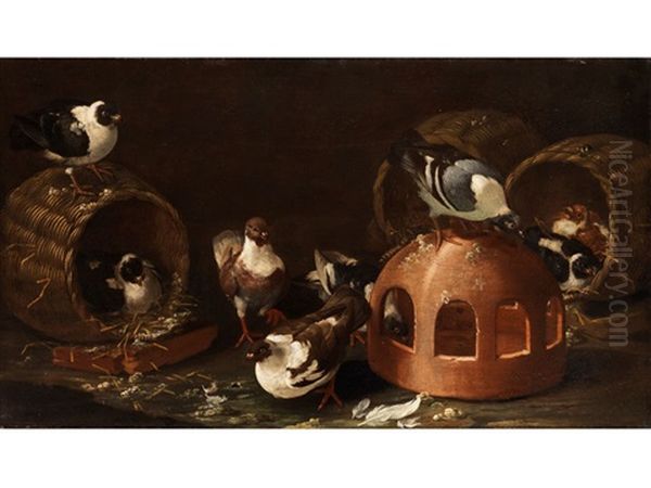 Tauben Zwischen Futtertrog Und Korben Oil Painting by Giovanni Agostino (Abate) Cassana