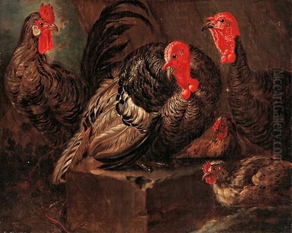 Aves De Corral Oil Painting by Giovanni Agostino (Abate) Cassana