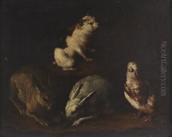 Rabbits, Dove And A Guinea Pig In An Interior Oil Painting by Giovanni Agostino (Abate) Cassana