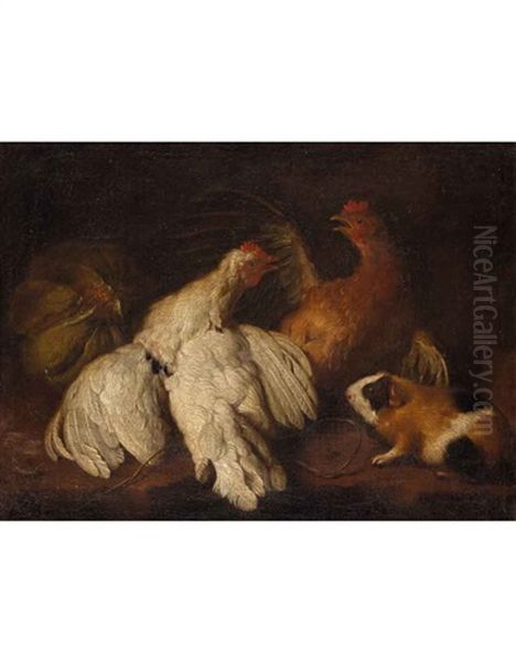 Pollame, Cavia E Frutta Oil Painting by Giovanni Agostino (Abate) Cassana