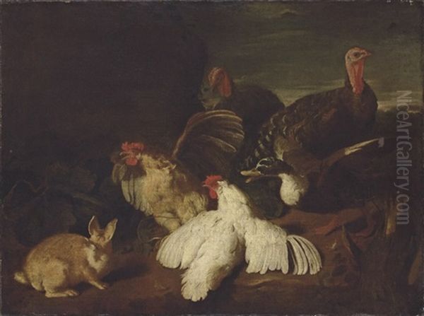 Hens, Turkeys, A Duck And A Rabbit, In A Park Landscape Oil Painting by Giovanni Agostino (Abate) Cassana