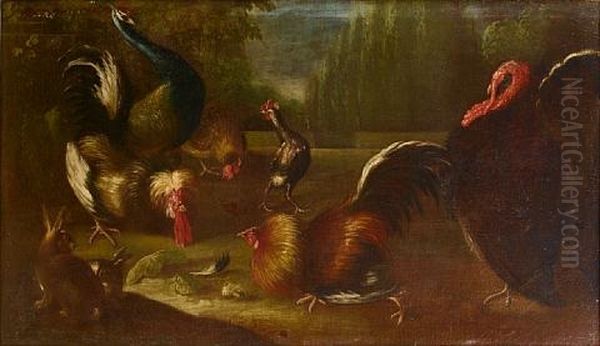 A Turkey, Peacock And Cockerels With A Rabbit In A Landscape Oil Painting by Giovanni Agostino (Abate) Cassana