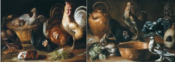 Stillleben Mit Hahnen Und Anderen Tieren - Coppia Di Nature Morte Con Galline E Altri Animali (2 Works) Oil Painting by Giovanni Agostino (Abate) Cassana