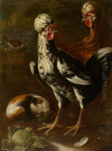 Huhner Und Meerschwein Oil Painting by Giovanni Agostino (Abate) Cassana