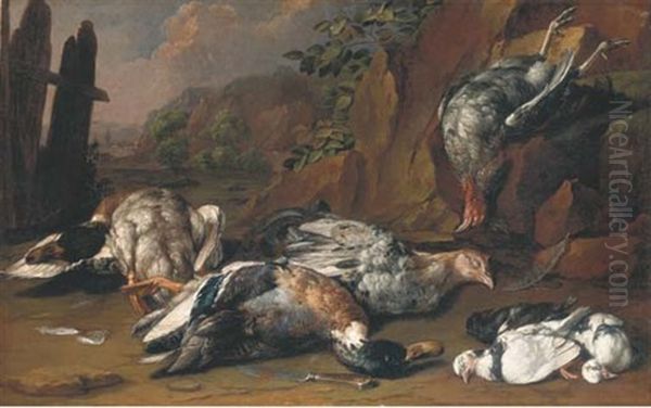 A Hunting Still Life With Ducks, Hens And Other Fowl In A Rocky Landscape Oil Painting by Giovanni Agostino (Abate) Cassana