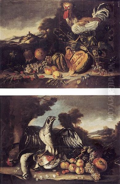 Nature Morte Et Oiseaux Sur Fond De Paysage Oil Painting by Giovanni Agostino (Abate) Cassana