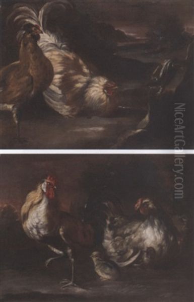 A Cockerel, A Chicken And Chicks In A Landscape Oil Painting by Giovanni Agostino (Abate) Cassana