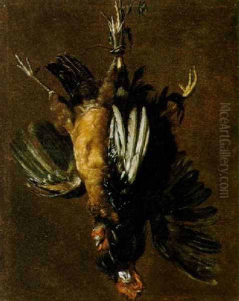 Coppia Di Gallinacei Oil Painting by Giovanni Agostino (Abate) Cassana