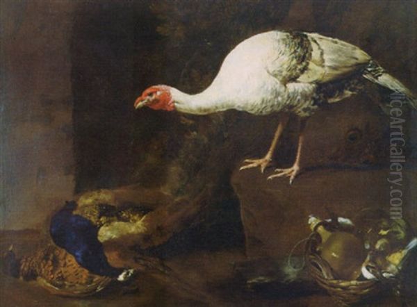 Tacchino Bianco Con Pennuti Oil Painting by Giovanni Agostino (Abate) Cassana