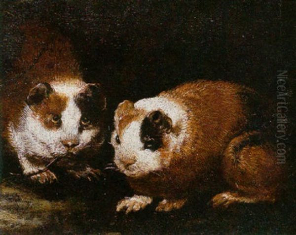 Guinea Pigs Oil Painting by Giovanni Agostino (Abate) Cassana