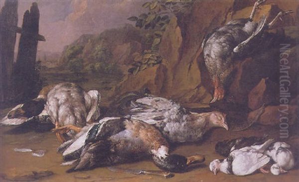 A Still Life Of Ducks, Hens And Other Fowl Beside A Knife In A Rocky Landscape Oil Painting by Giovanni Agostino (Abate) Cassana