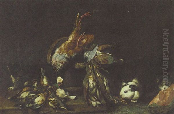 A Partridge, Quails, Finches And Other Birds On A Ledge With A Cat And Guinea-pigs By A Slice Of Water Melon Oil Painting by Giovanni Agostino (Abate) Cassana