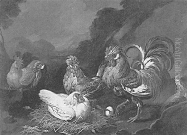 Roosters, Chickens And A Turkey In A Landscape Oil Painting by Giovanni Agostino (Abate) Cassana