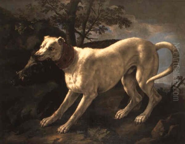 A Boar Attacked By A Boar-hound On A Hillside Oil Painting by Giovanni Agostino (Abate) Cassana