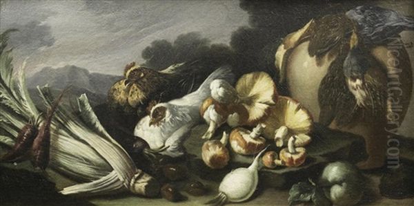 A Still Life Of Mushrooms, Chickens, Cardoons And Turnips Oil Painting by Niccolo Cassana