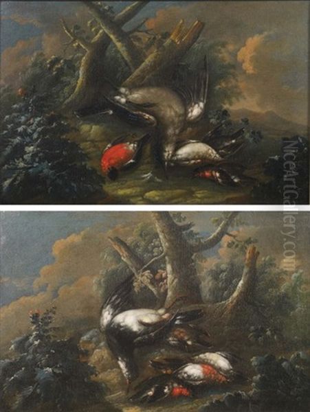 Oiseaux Sur Fond De Paysage (pair) Oil Painting by Niccolo Cassana