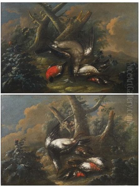 Oiseaux Sur Fond De Paysage (pair) Oil Painting by Niccolo Cassana