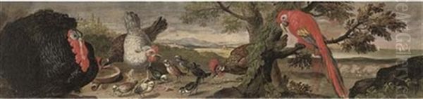 A Parrot, A Turkey, Three Chickens, Chicks And Other Birds Feeding In A Clearing Oil Painting by Niccolo Cassana