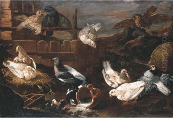 Doves Nesting And A Falcon In A Mountainous Landscape Oil Painting by Niccolo Cassana