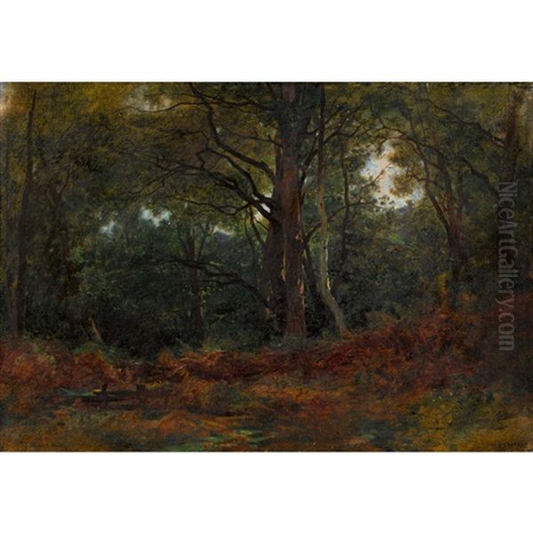 Waldlandschaft by Gustave Eugene Castan