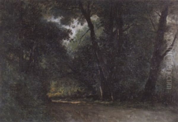 Strasse Im Wald Oil Painting by Gustave Eugene Castan