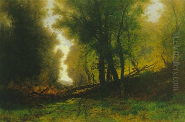 Waldweg Mit Umgesturzten Baumen Oil Painting by Gustave Eugene Castan