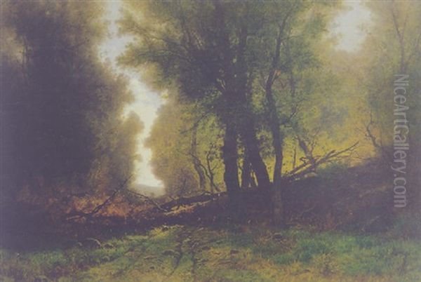 Waldweg Mit Umgesturzten Baumen Oil Painting by Gustave Eugene Castan