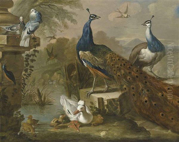 Peacocks, A Duck And And Other Birds In A River Landscape Oil Painting by Pieter Casteels III