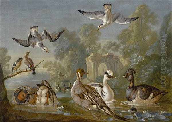 Waterfowl On A Pond With Other Birds In A Parkland Setting Oil Painting by Pieter Casteels III