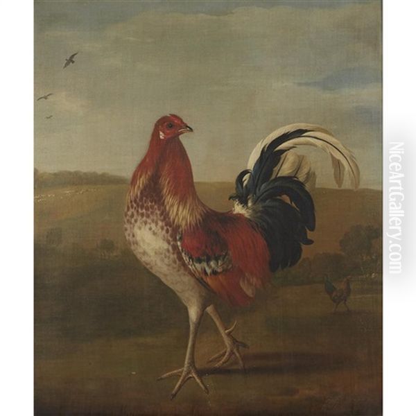 Rooster In A Landscape Oil Painting by Pieter Casteels III