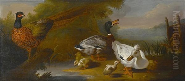 A Landscape With Wild Fowl Oil Painting by Pieter Casteels III