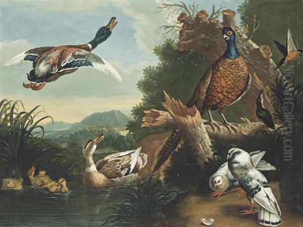 A Pheasant, Ducks, Pigeons And Other Birds By A River Oil Painting by Pieter Casteels III