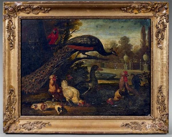 Poules, Paon, Perroquet Et Cochons D'inde Oil Painting by Pieter Casteels III