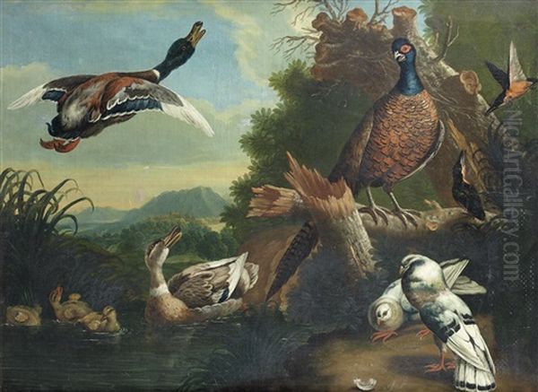 A Pheasant, Ducks, Pigeons And Other Birds By A River by Pieter Casteels III