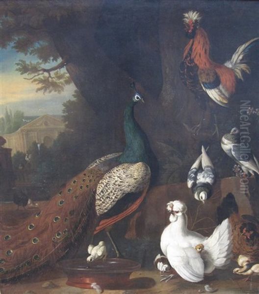 A Peacock And Domestic Fowl In The Grounds Of A Country House Oil Painting by Pieter Casteels III