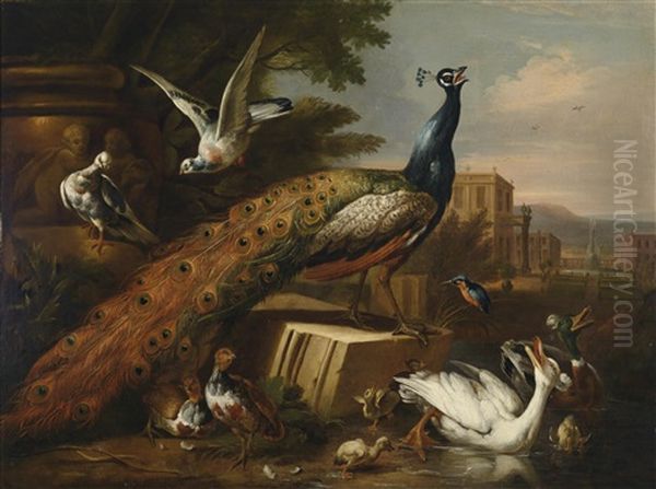 Ein Von Tauben, Huhnern Und Wasservogeln Umgebener Pfau In Einem Schlosspark Oil Painting by Pieter Casteels III