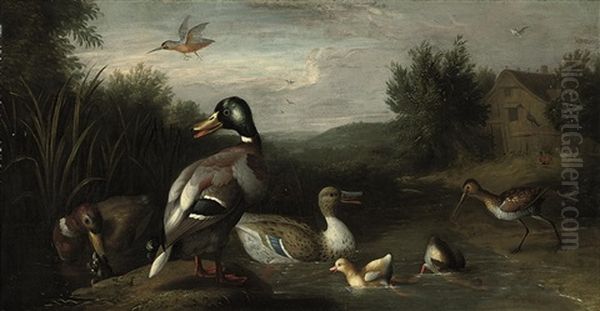 A Wooded River Landscape With A Male And Female Mallard, Ducklings, A Snipe, A Kingfisher And Another Duck Oil Painting by Pieter Casteels III