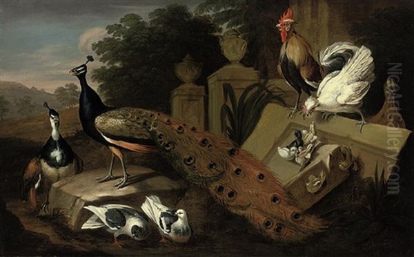 A Male And A Female Peocock, Two Doves, A Rooster And A Hen With Their Chicks, And A Patridge Amongst Antique Vases And Oil Painting by Pieter Casteels III