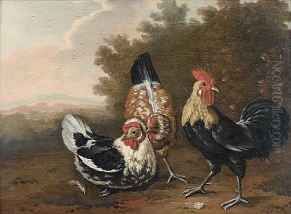 Ornamental Fowl In A Wooded Landscape Oil Painting by Pieter Casteels III